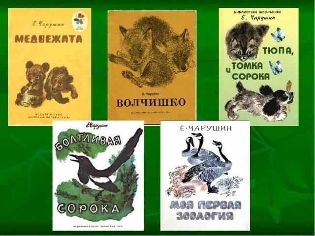 Главные герои произведения кабан чарушин. Задания по Чарушину. Рисунки е Чарушина. Художник е Чарушин.