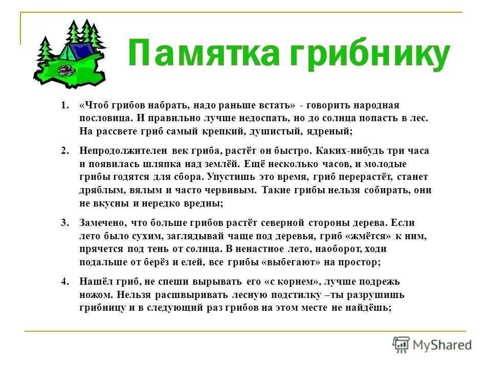 Памятка как собирать грибы. Памятка как собирать грибы