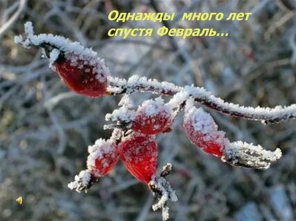 Пятница декабря