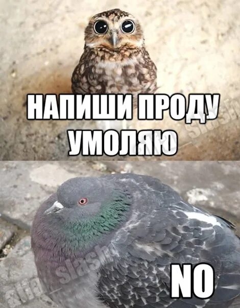 Автор где прода мем. Проду сделать. Мемы. Проду сделать. Проду сделать.