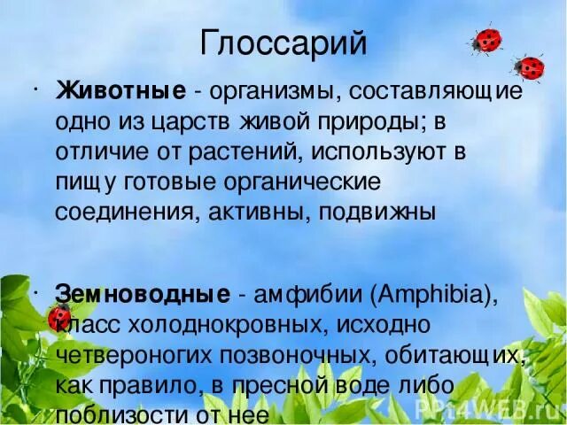 Представляет собой одну из составляющих