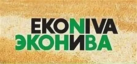 Сколько холдингов входит в компанию эконива. Эконива логотип. эконива агро логотип. эконива техника холдинг логотип. эконива черноземье лого.