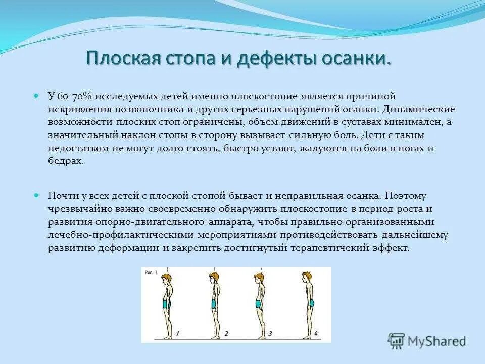 Курс по осанке