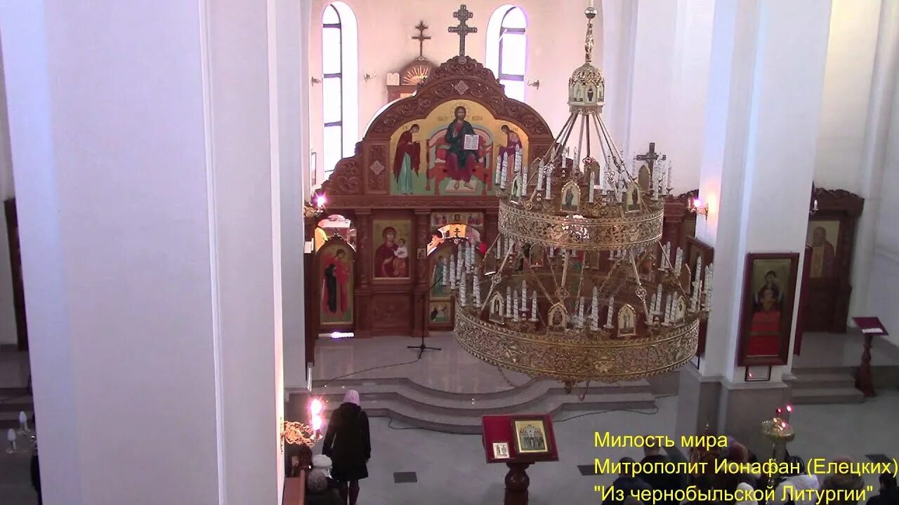 Митрополит херсонский и таврический ионафан. Митрополит ионафан елецких. Чернобыльская литургия ионафана елецких. Чернобыль православие. Чернобыльская литургия.