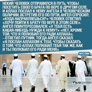 Ради братьев