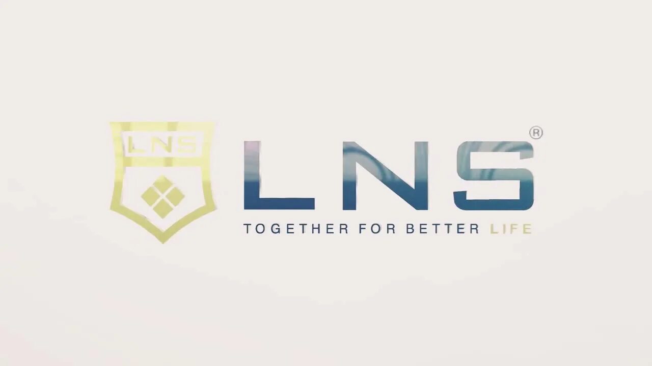 Lnsint net. LNS компания. Логотип LNS. LNS компания товары. LNS маркетинг.