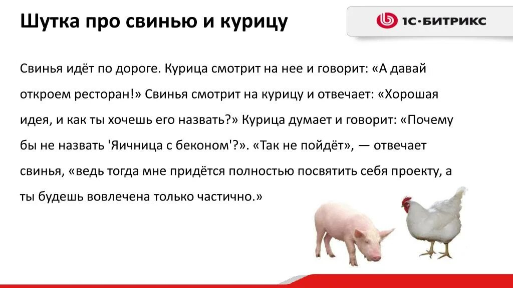 Поросятам давать яйца. Анекдоты про поросят. Анекдоты про кур. Анекдоты про свиней и поросят. Анекдот про свинью.