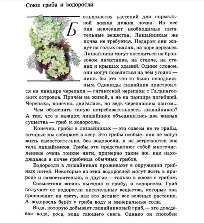 Зелёные страницы 2 класс окружающий мир рассказ о первоцветах. Книга зеленые страницы солнышко. Рассказ тысячелистник из книги зеленые страницы. Книга зелёные страницы 3 класс растения плешаков. Книга зелёные страницы 2 класс.
