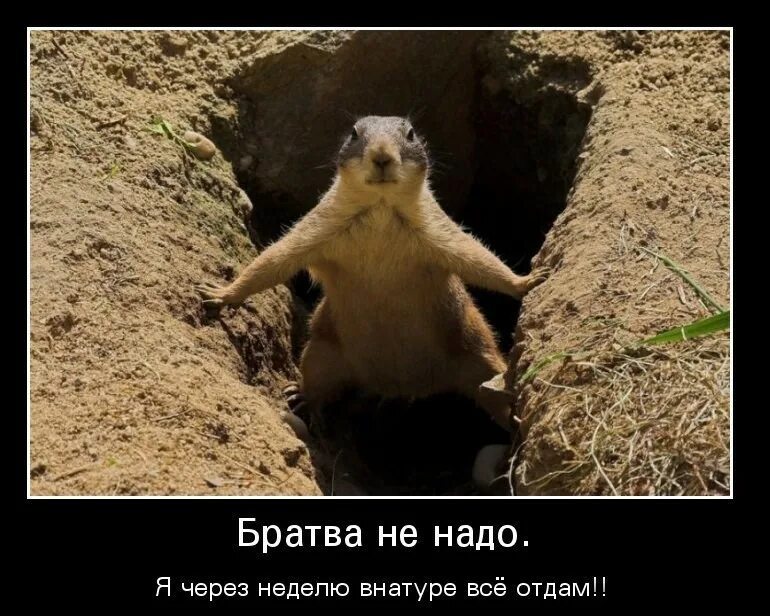 Прикол не надо. Прикол не надо