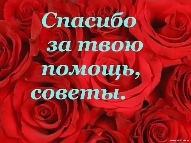 Спасибо мама за теплоту