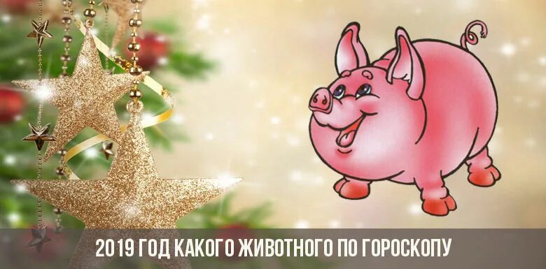 Как называется 2019 год. Год свиньи. 2019 год какого животного по гороскопу. год свиньи 2019. год свиньи года.
