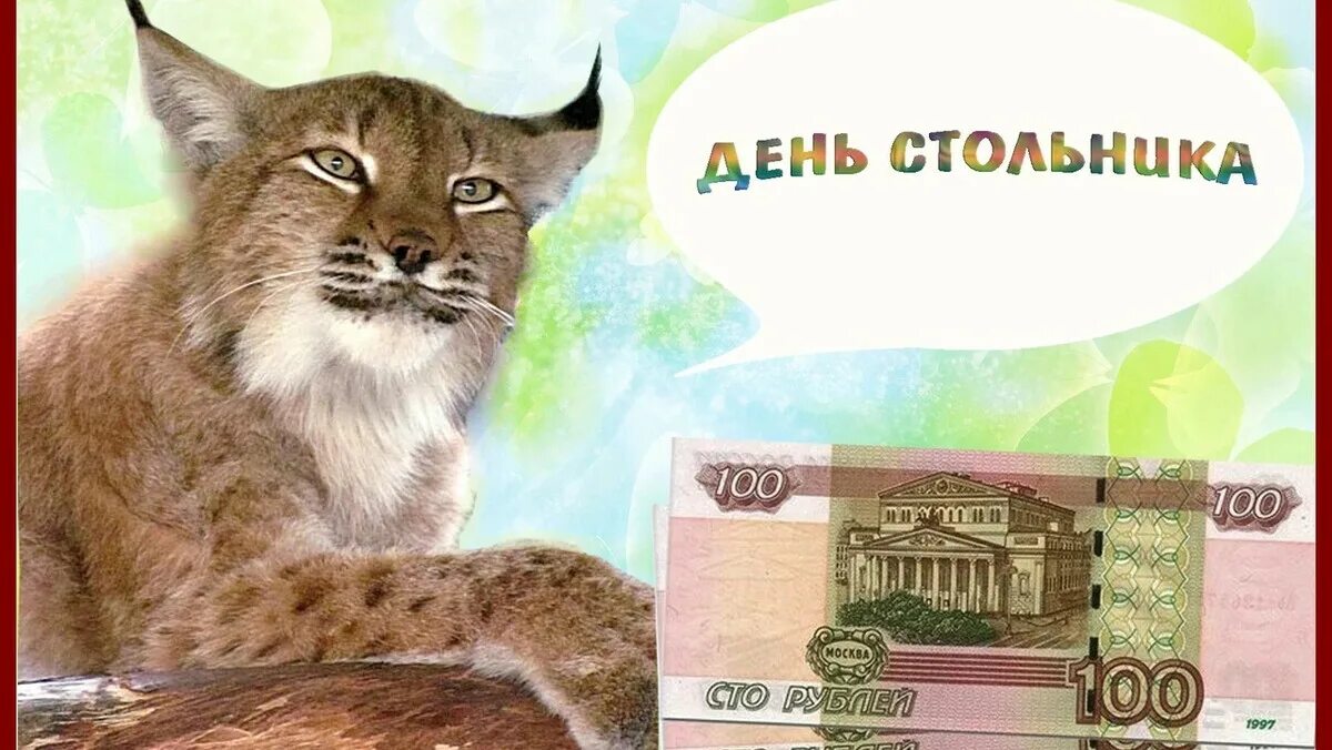 Как звали стольника который в 1673 году. День стольника. день стольника для животных. день стольника картинки. акция день стольника.