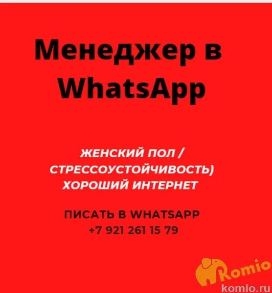 Девушка. Администратор вацап. Фотографии на whatsapp. Ватсап 2022. Смартфон ватсап.