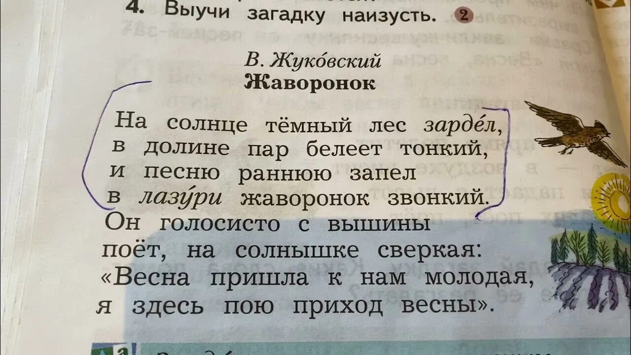 Произведение жуковского жаворонок и приход весны. Жуковский Жаворонок. Жуковский Жаворонок стихотворение.