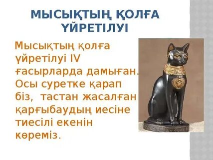 Эротикалық массаж секс керемет