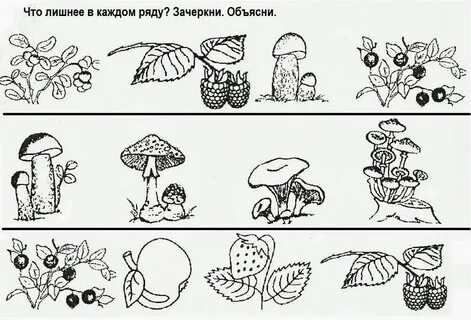 Обведи лишнее в каждом ряду