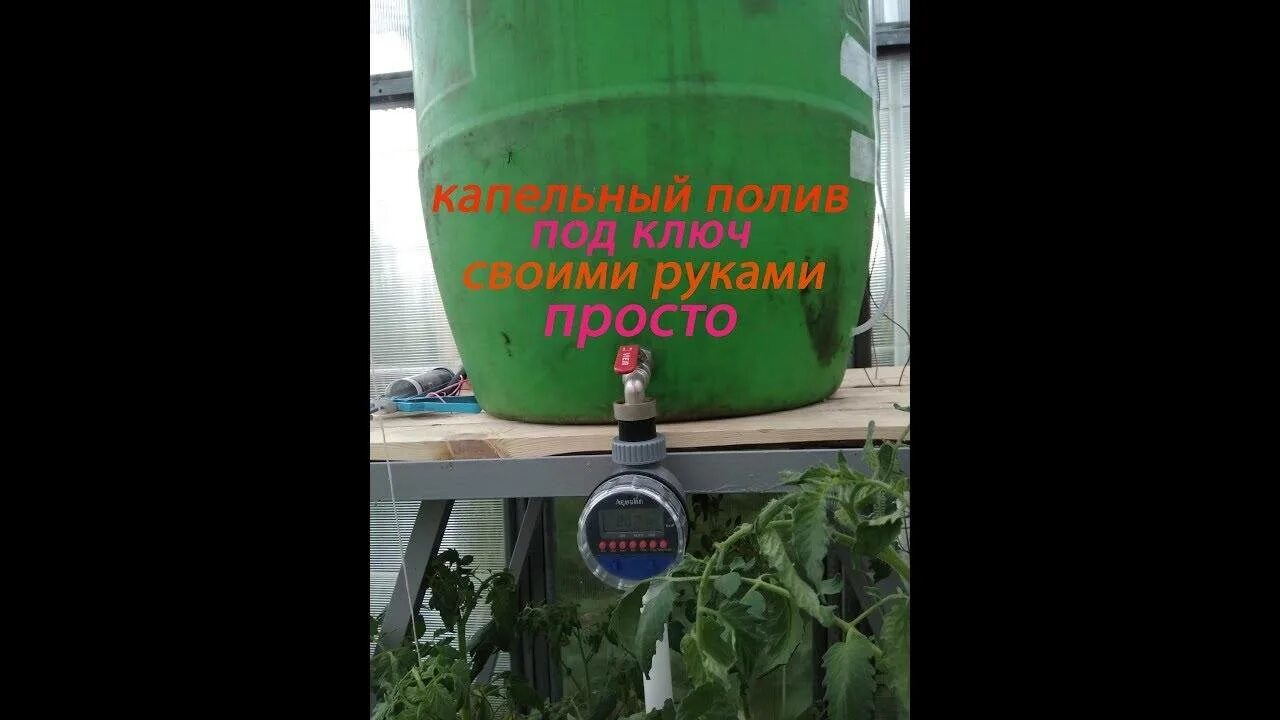 Таймер капельного полива из бочки купить. Автополив Жук для теплицы с таймером. Система автополив с таймером для теплицы. Бочка в теплице для полива. Бочка для капельного полива в теплице.