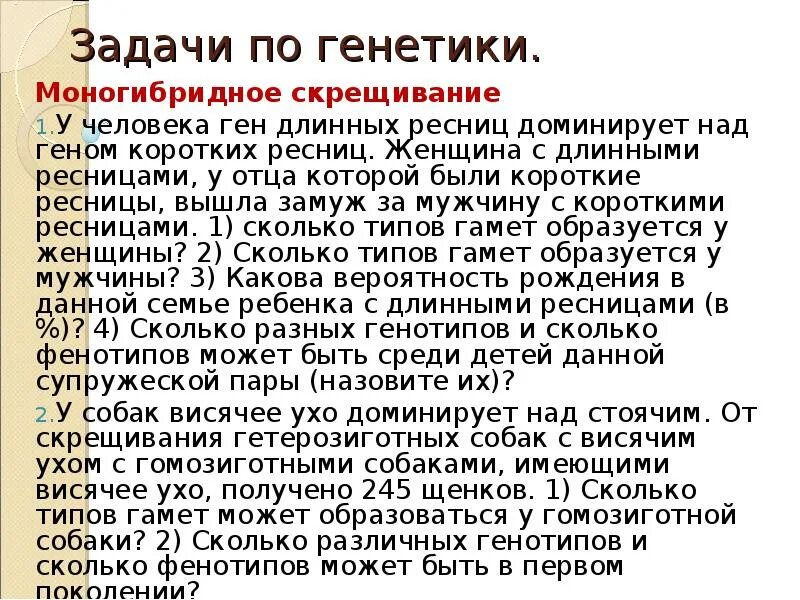 Задачи на моногибридного скрещива. Задачи по биологии моногибридное скрещивание. Задачи на моногибридное скрещивание. Задачи на генетику моногибридное скрещивание.