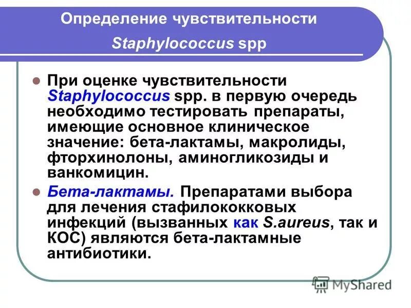 Стафилококк спп. Стафилококк спп. Стафилококк spp. Стафилококк инвитро. Staphylococcus spp микробиология.
