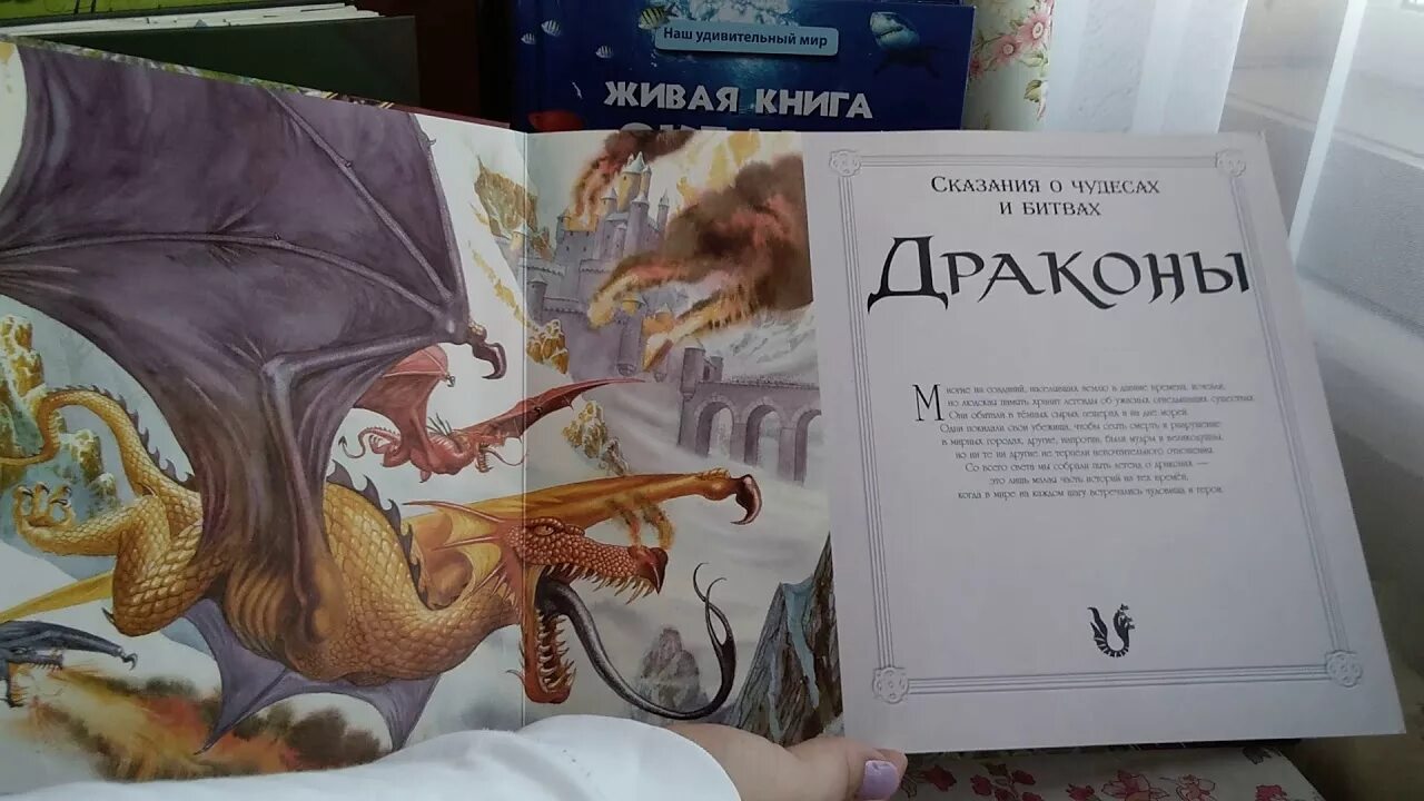 Дракон книга краткое содержание. Дракон книга краткое содержание