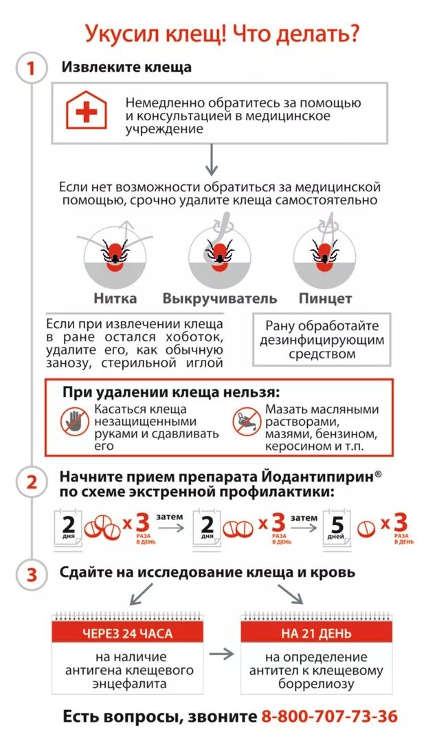 Чтотдеоаит если укусил клещ. Что делать если укусил клещ. Что делать если укусиь Клед. Чтотделать если укустл клещ.