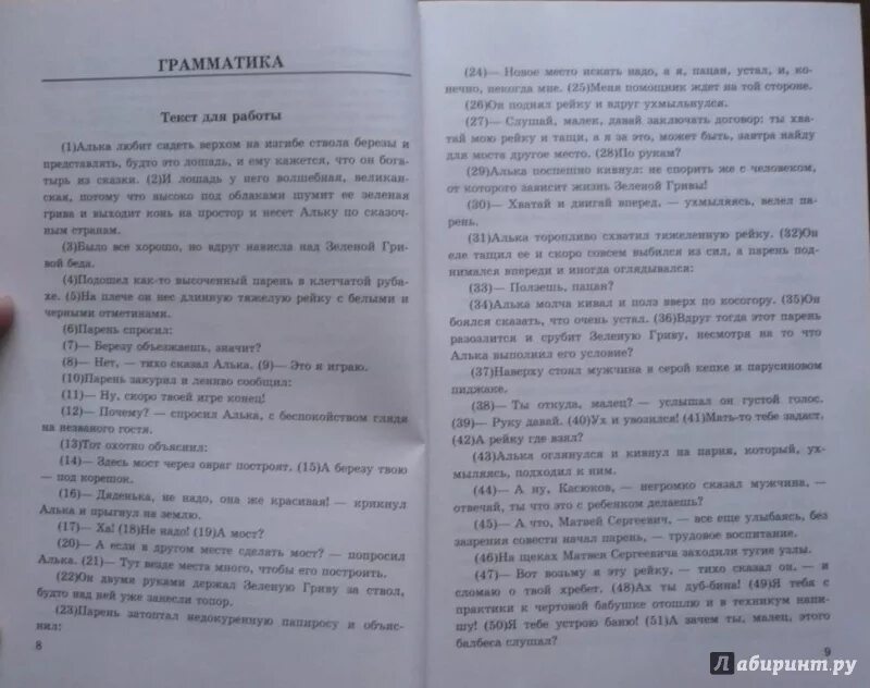 Егораева сочинения огэ. Егораева сочинения огэ