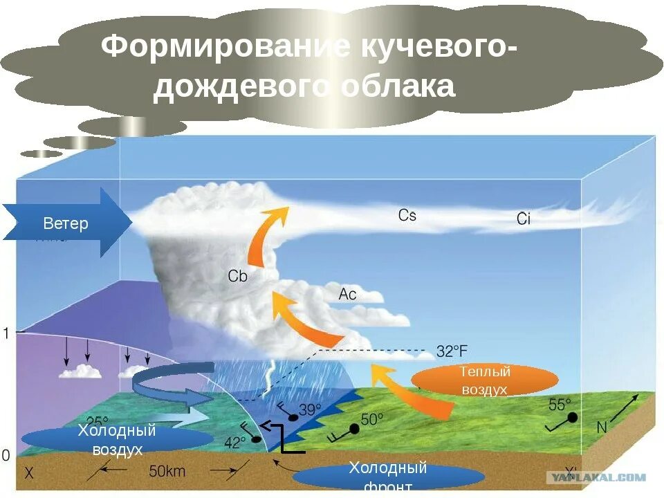 Образование дождя в атмосфере. Циркуляция холодного воздуха. Образование облаков. Структура грозового облака. Формирование облаков.