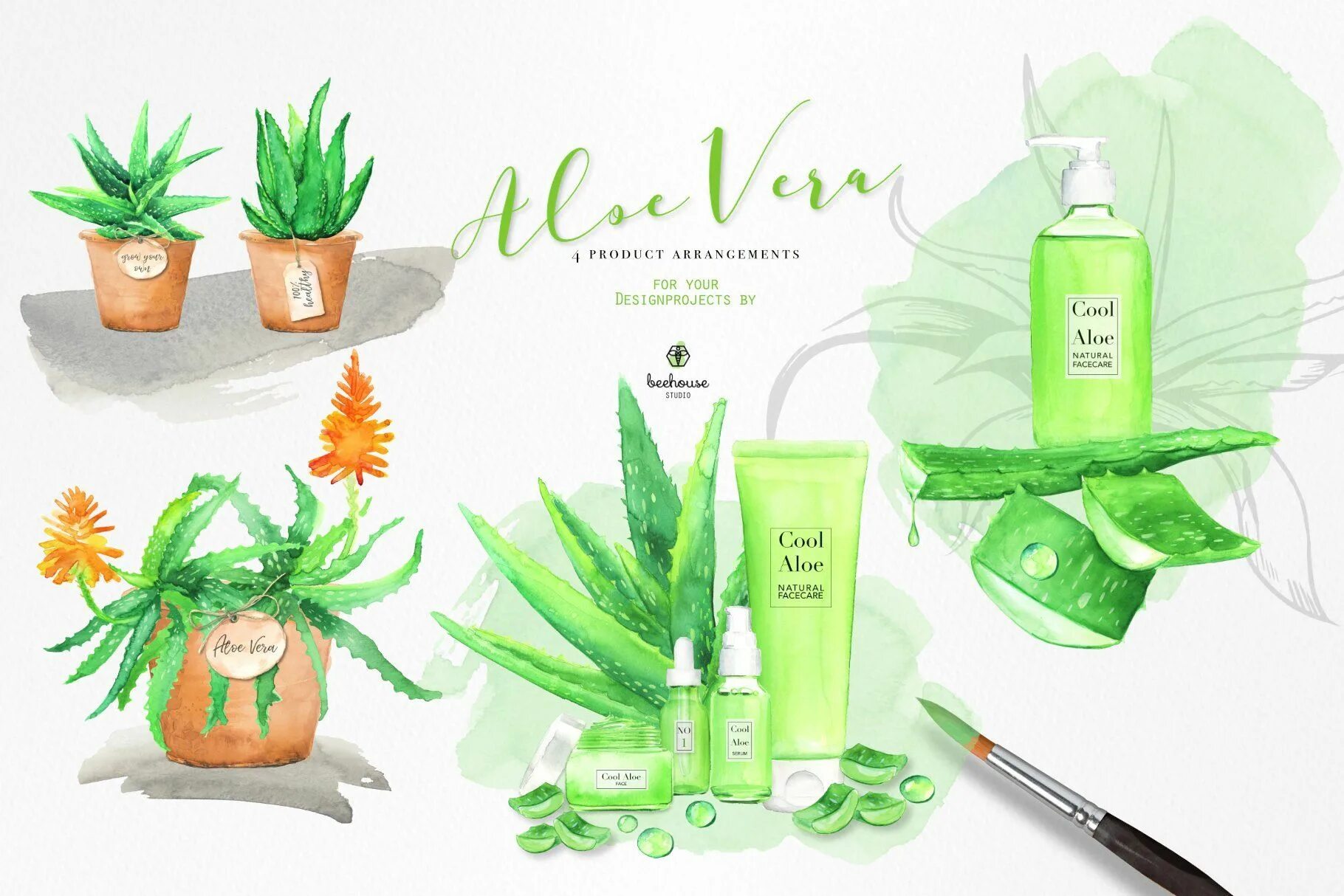 Aloe Vera набор 98. Aloe Watercolor. Игра алоэ