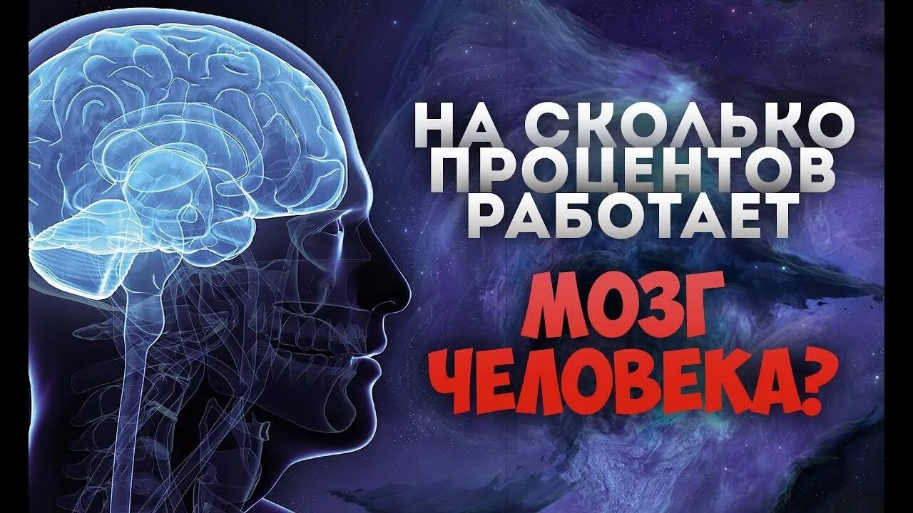 10 процентов мозга. Мозг человека используется. Мозг и вымысел.