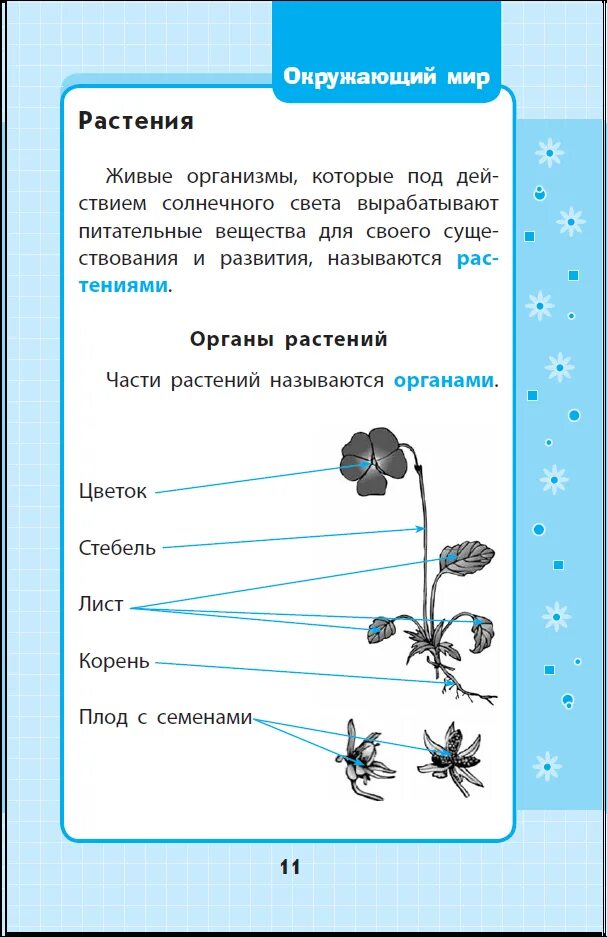 Окружающему мир 1-4 классы в схемах и таблицах. Таблицы по окружающему миру для начальной школы. Схемы по окружающему миру начальная школа. Таблица по окружающему миру.