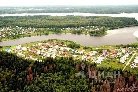 Зеленый бор конаково