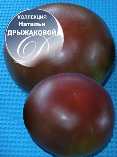 Томат зебра характеристика и описание сорта. Томат абрика зебра abrika. дрыжакова наталья томаты. томат зебра полосатая. томат абрика зебра abrika zebra семена.