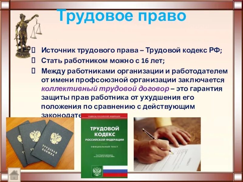 Трудовое законодательство. Законодательство в трудовом праве. Трудовой кодекс. 45 тк рф