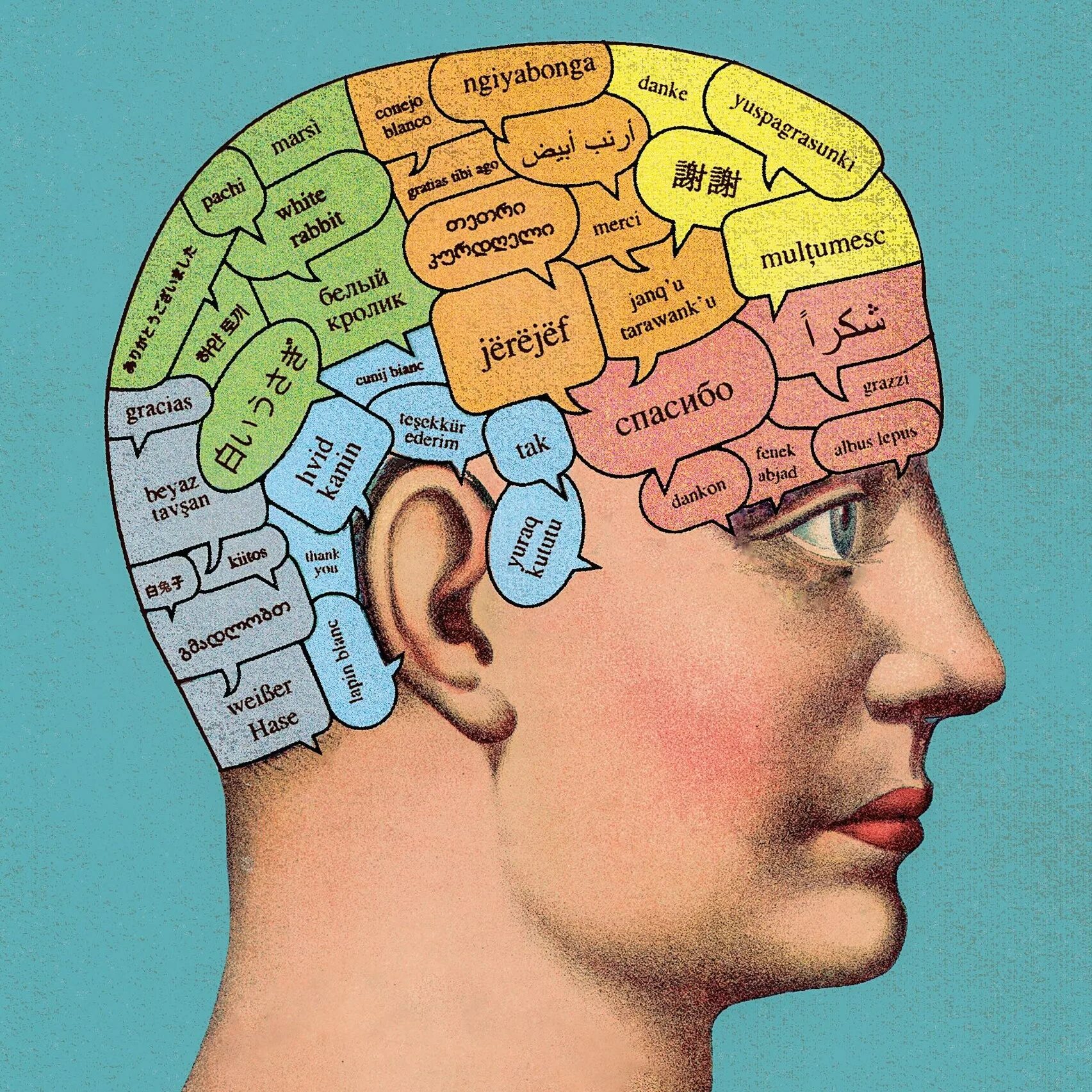 Language and mind