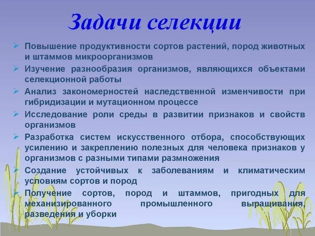 Выберите задачи селекции. Задачи селекции. Селекция задачи селекции. Задачи и методы современной селекции. Задачи современной селекции животных.