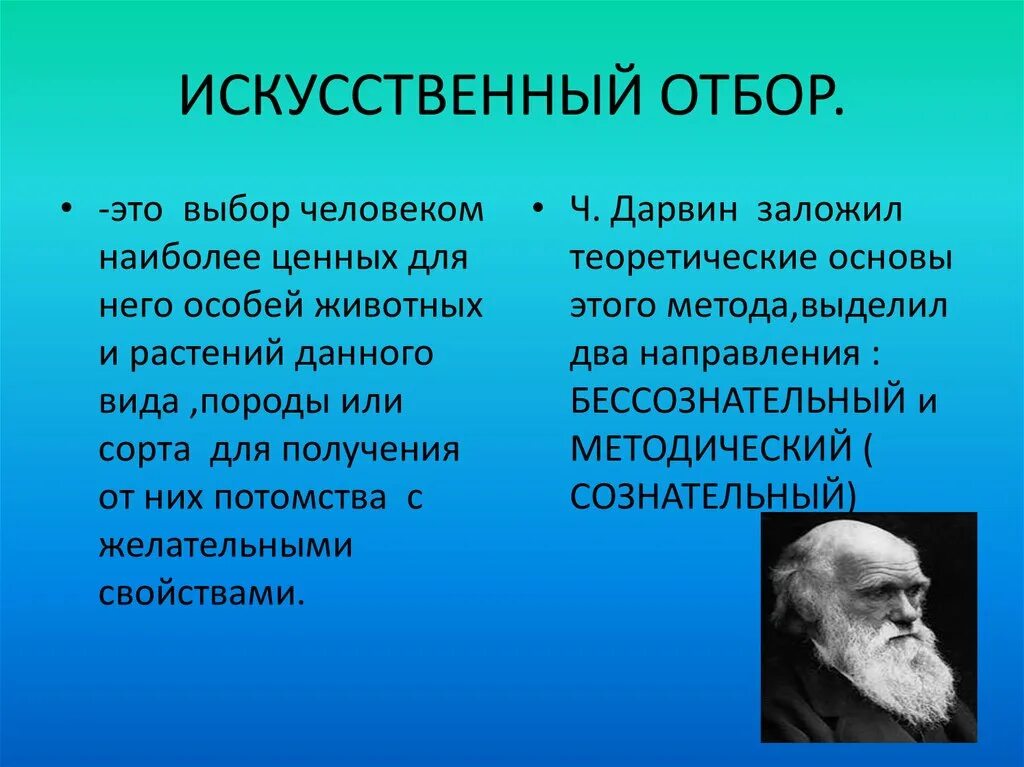 Искусственный отбор это в биологии