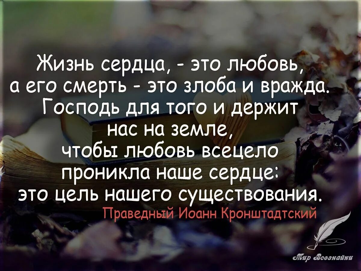 Объясните слово смерти. Цитаты про любовь. Фразы о жизни и любви. Цитаты про жизнь и любовь. Высказывания о жизни и любви.