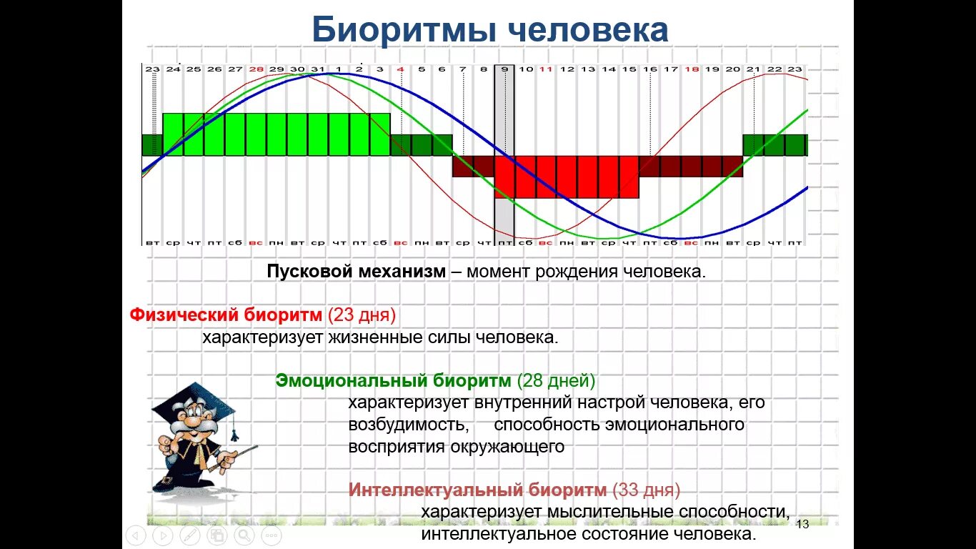 Время в течение дня. График суточных ритмов человека. Биоритмы человека. Графики биоритмов человека. Циклы биоритмов человека.