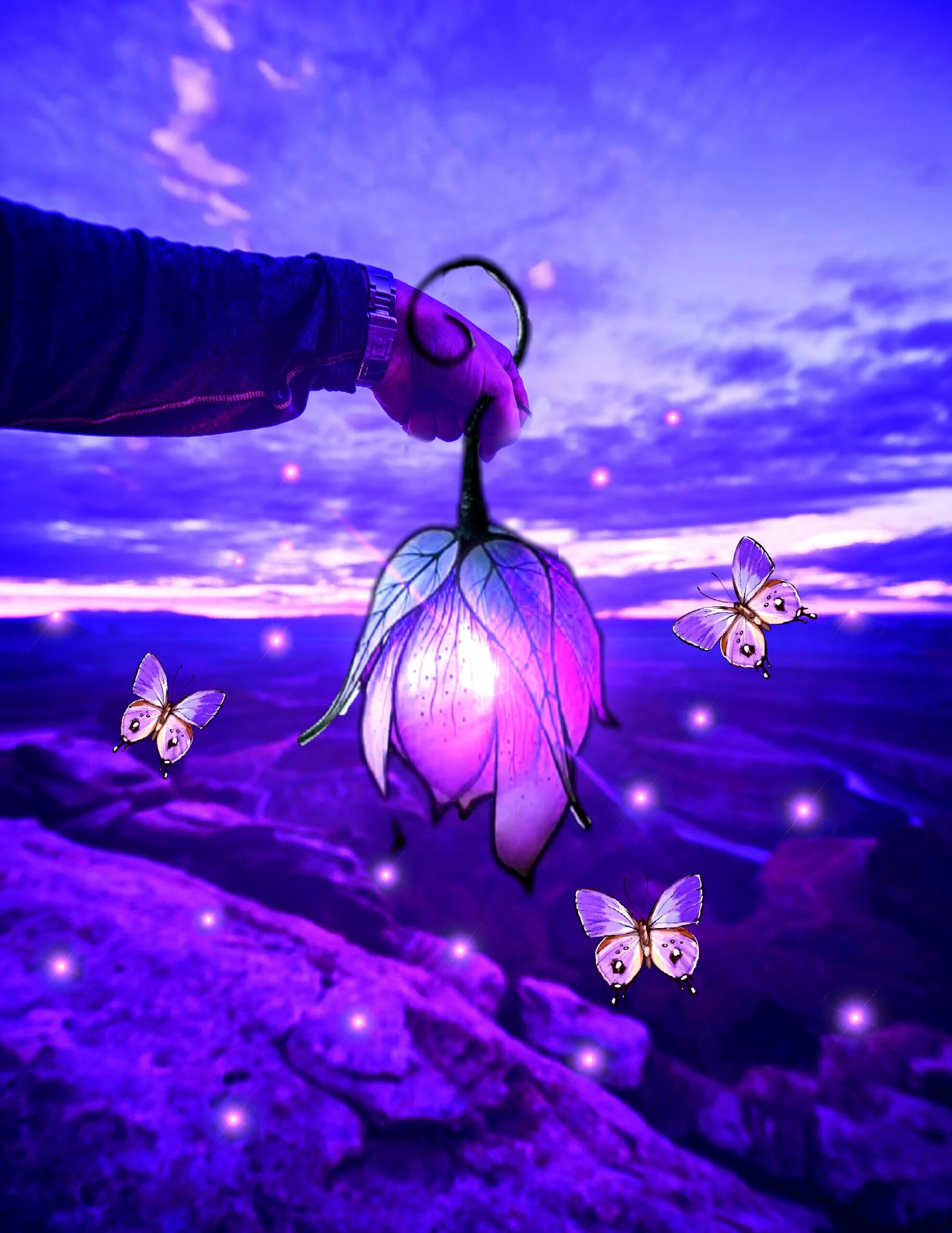 цветы светлячки. светлячок картинка. цветы светлячки. светлячки в лесу. светлячки.