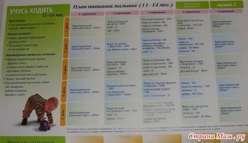 Сколько ест ребенок в год. План питания ребенка. План питания 8 месячного ребенка. План питания детей в 6 мес. План питания ребенка 8 мес.