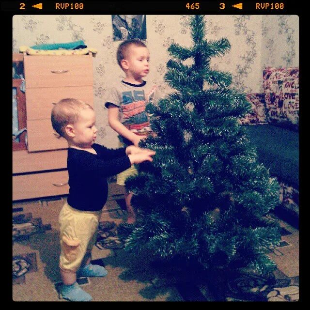 Два чуда для папы мороза. Два чуда для папы мороза. Книга двойняшки по ошибке. Два чуда для папы мороза. Два чуда для папы мороза.