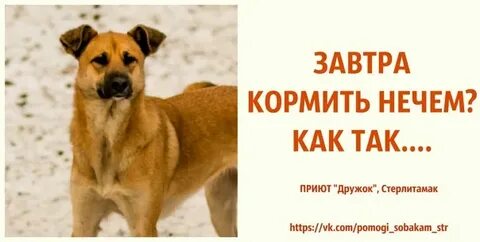 Кормить нечем