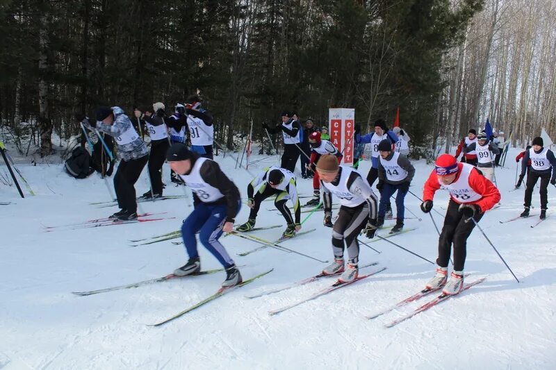 Лыжная гонка 2009. Лыжники аргаяшского района. салым кросс. лыжные гонки тула. афиша первенства по лыжным гонкам.