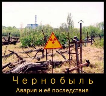 Последствия чернобыльской аварии
