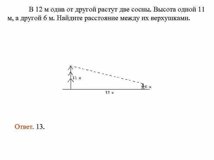 На рисунке 10 показано. Две сосны растут на расстоянии. В 32 М одна от другой растут две сосны высота одной 37 а другой 13. Высота сосны 32 метра. Найдите расстояние между верхушками.