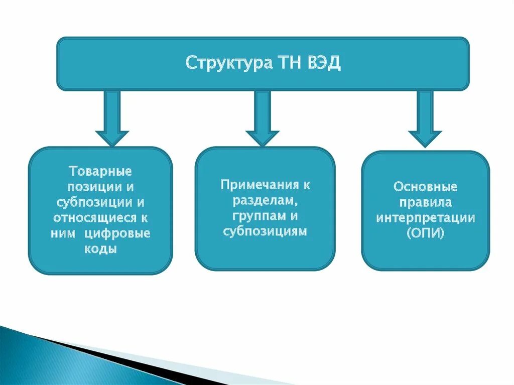 Коды товарной группы. Структура тн ВЭД. Номенклатура тн ВЭД. Товарная позиция тн ВЭД. Структура товарного кода тн ВЭД.