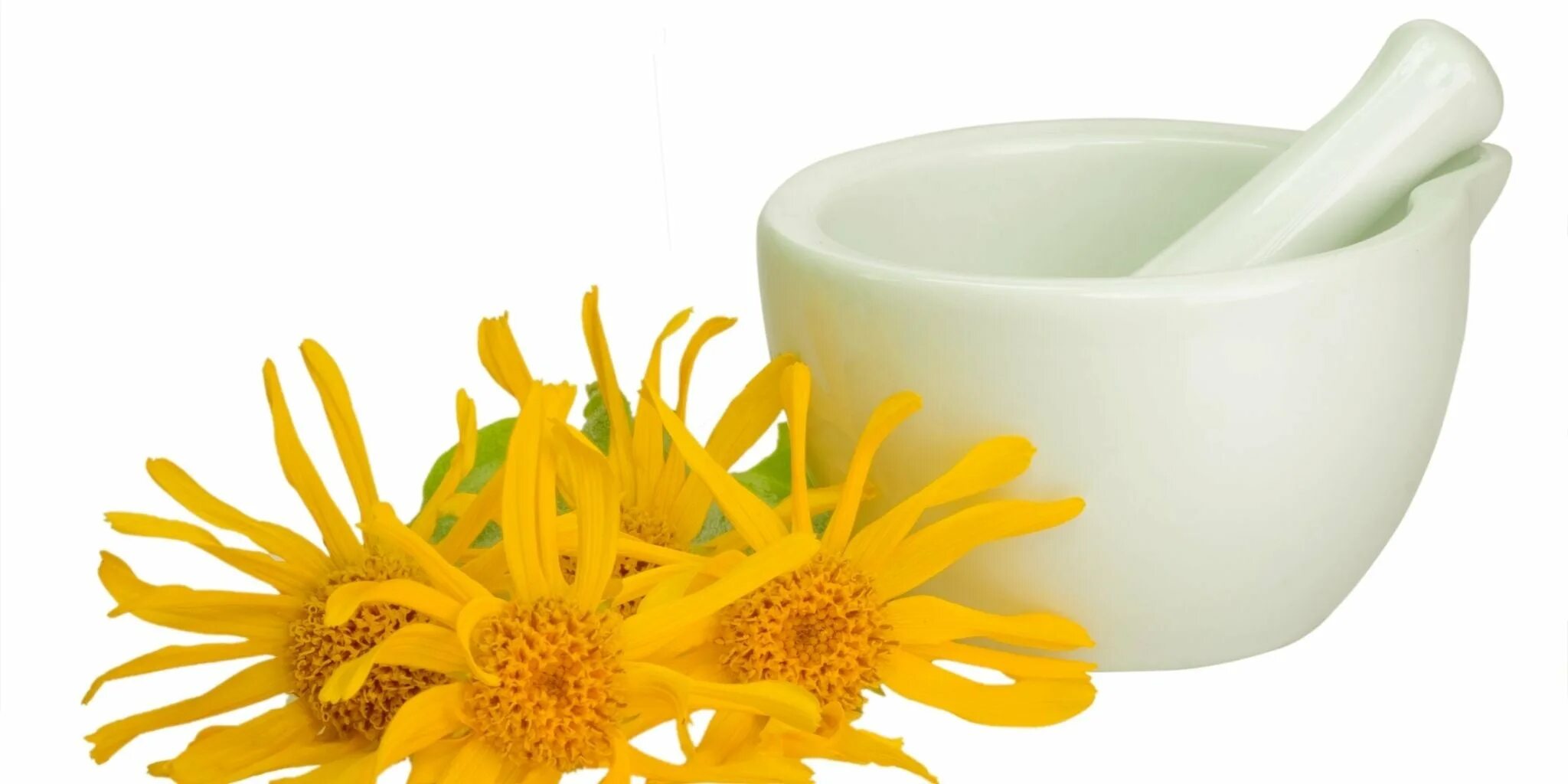 Экстракт арники горной. Arnica montana extract. Arnica montana extract. Arnica montana. Арника альпийская.