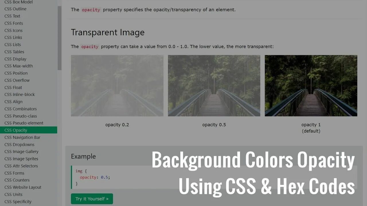 Прозрачный в css. Прозрачность CSS. Свойство opacity в CSS. Background opacity CSS. CSS цвет #000 opacity 0.2.