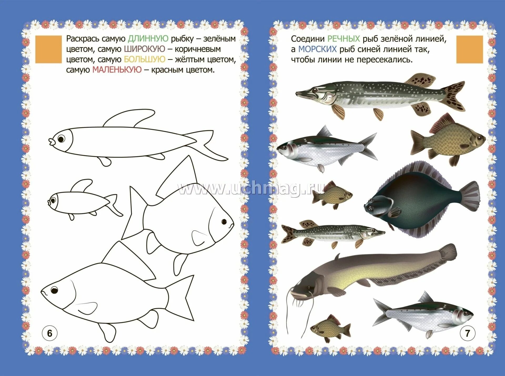 Рыбы задания для детей. Рыбы задания для дошкольников. Знакомим дошкольников с рыбами рыбы. Пресноводные рыбы задания для дошкольников.