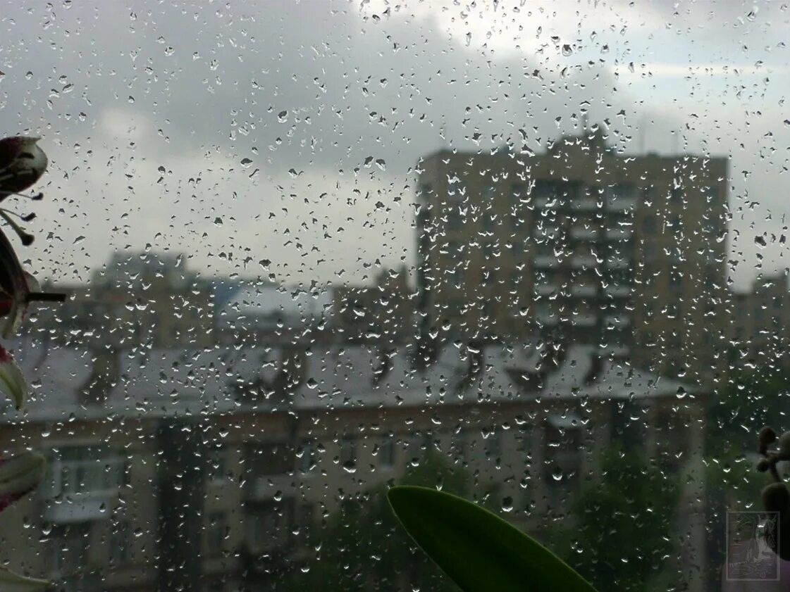 Сегодня целый день шел дождь. Дождь за окном. Дождь в окне. Ливень за окном. Серое дождливое утро.